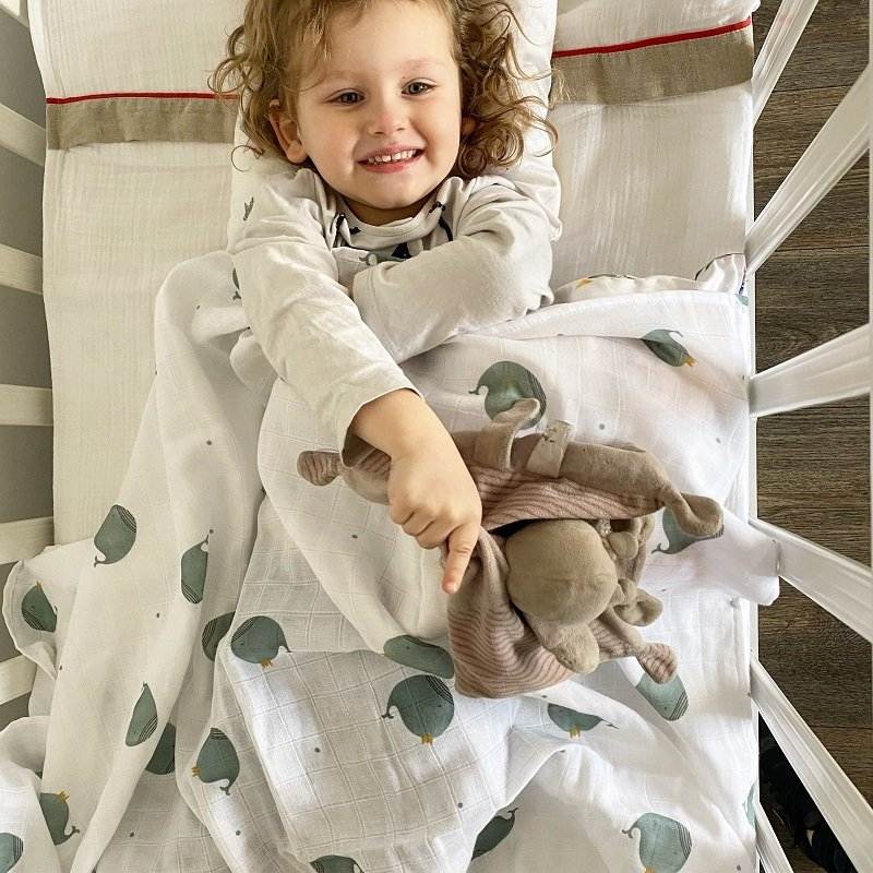 Napë (pelenë) organike 120x120cm - Whaley